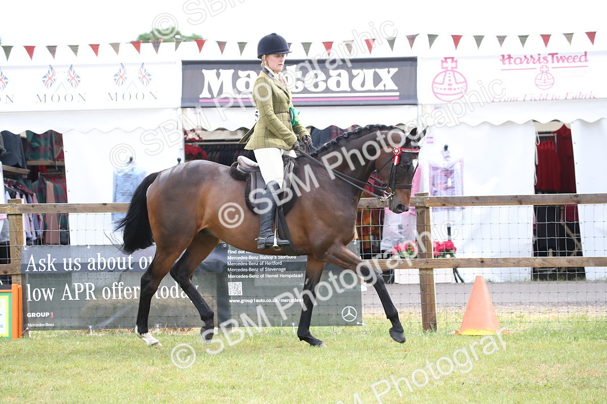 SBM_11489 - Class 94 - LIHS BSHA Racehorse to Showhorse