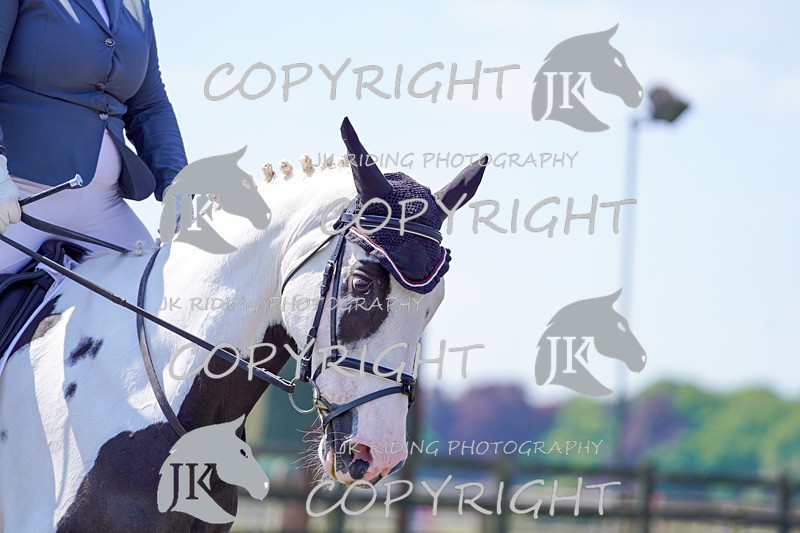 _DSC3640 - NOVICE 1