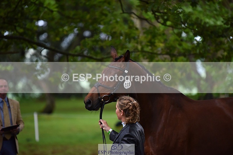 240522-165708-01276 - 229-ROCK_THE_CASPAR-Ali_Wilkes