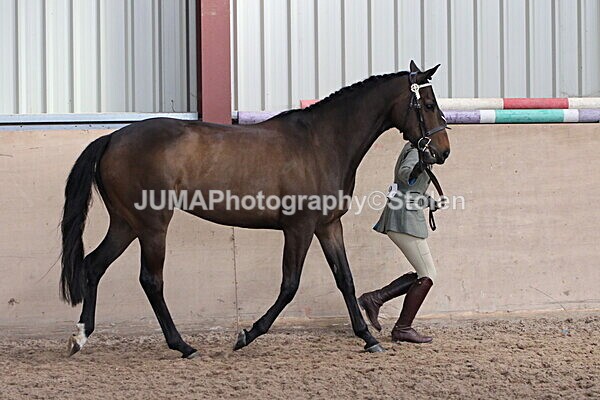 SIAL9787 - Indoor Classes