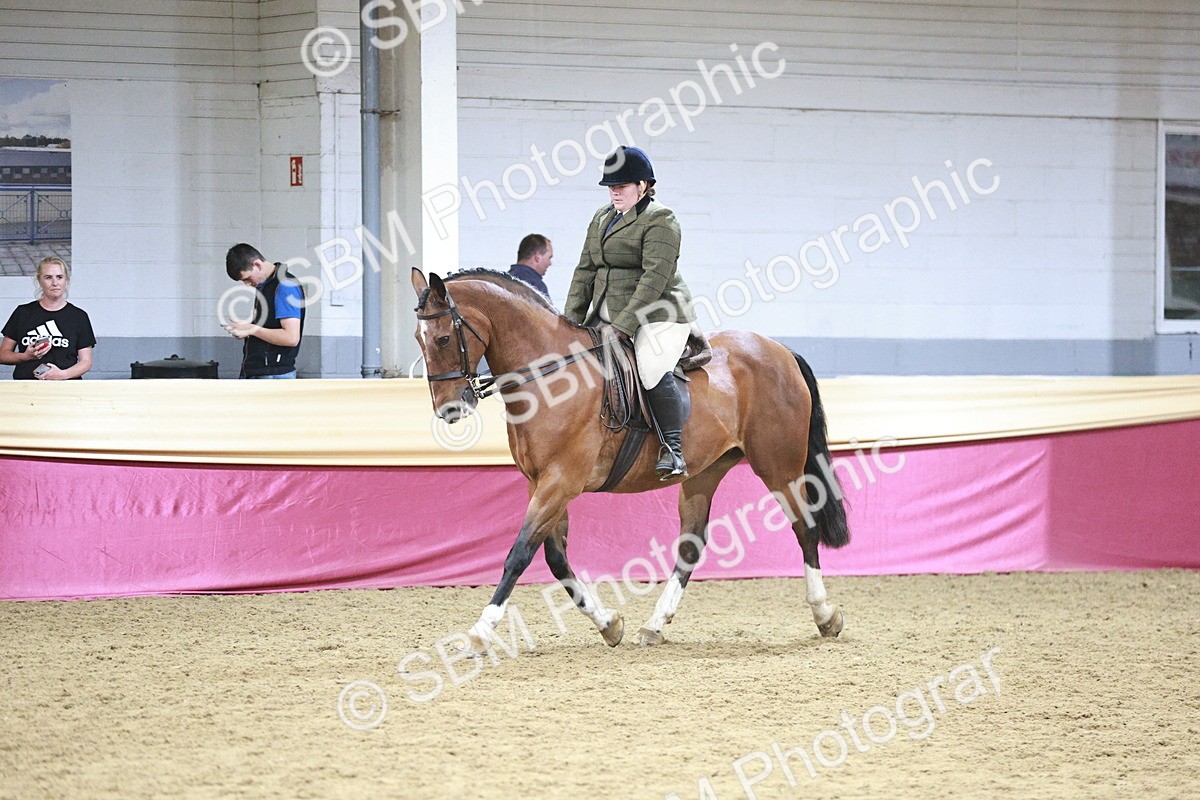 SBM_08208 - Class 11R - Regional Ridden Veteran