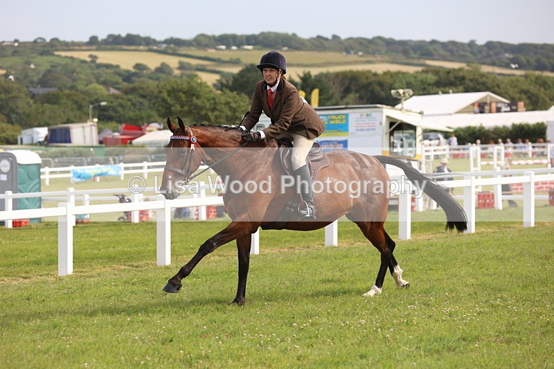 JPP_4258 - Class 25: Working Show Horse