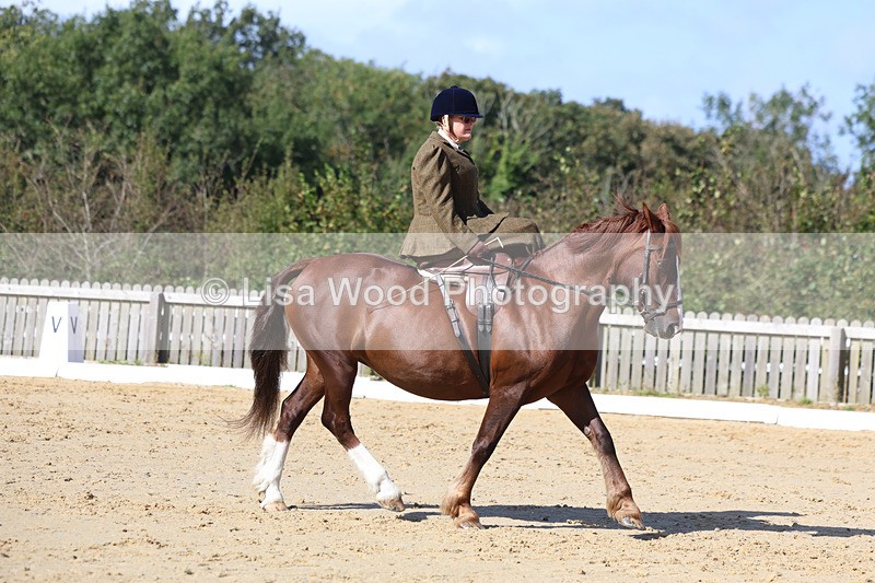 3E7A2733 - Class 4: Prelim 6 Section A Championship