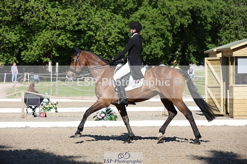 230526-090803-05005 - 352-TEQUILA_SUNRISE-Pippa_Taylor-WEDTrotUp+DR