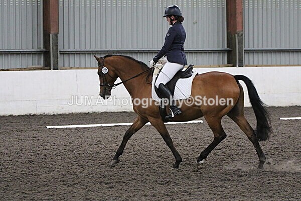 SIAL5604 - CAbin Dressage 5th july 2025
