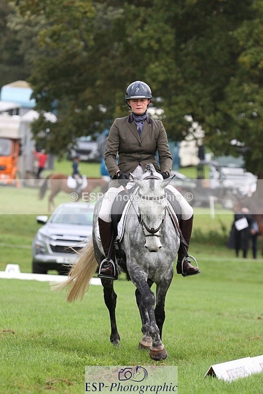 231019-152903-04884 - 553-HARLEQUIN.RABBIT-Althea.Bleekman-DR