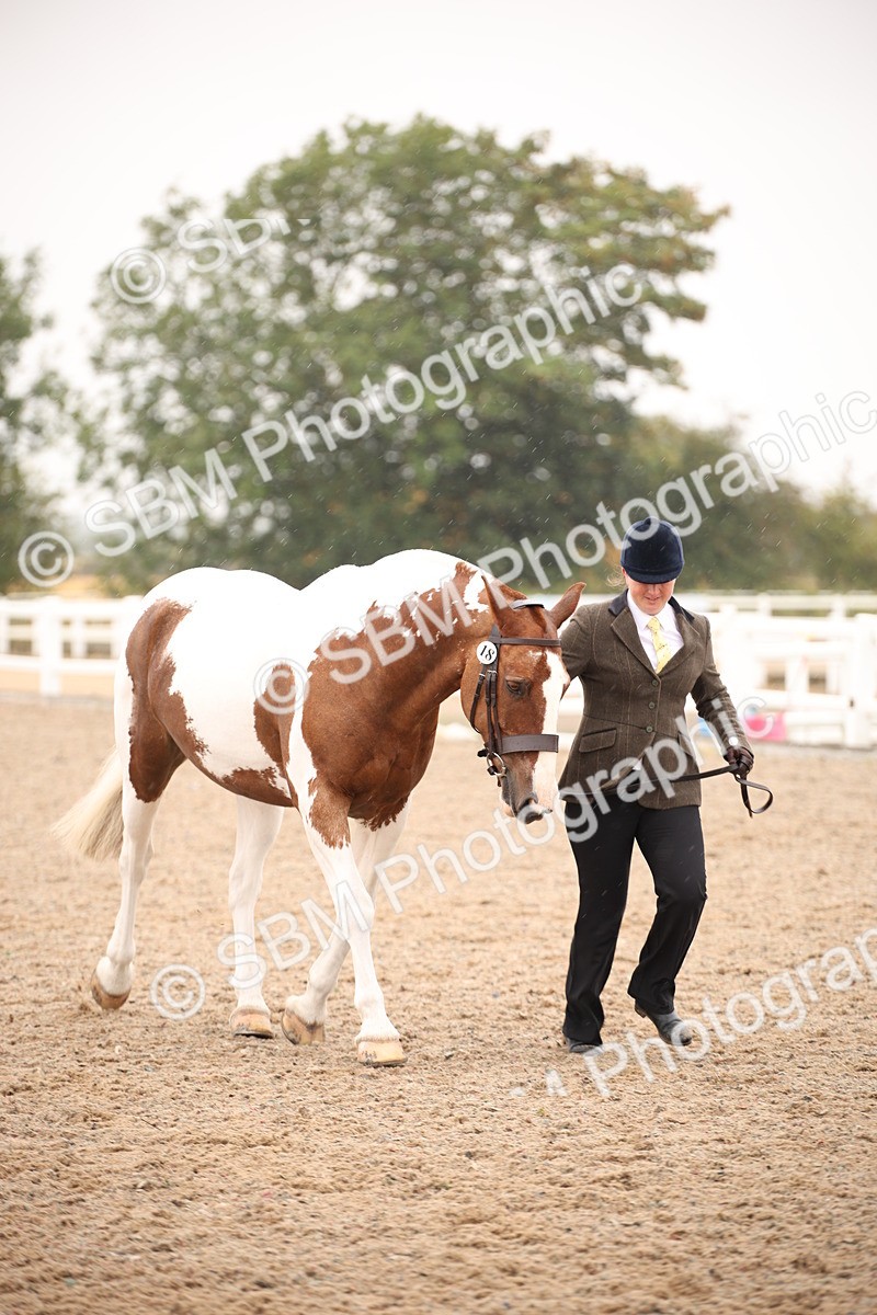 SBM_20197 - Class 703 - IH  Coloured