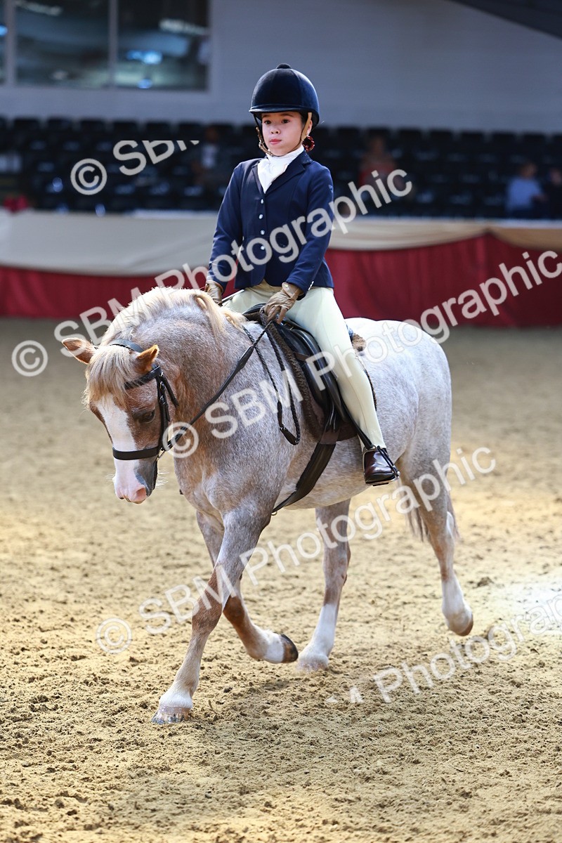 SBM_23939 - Class 905 - Supreme Final - Ridden Veteran