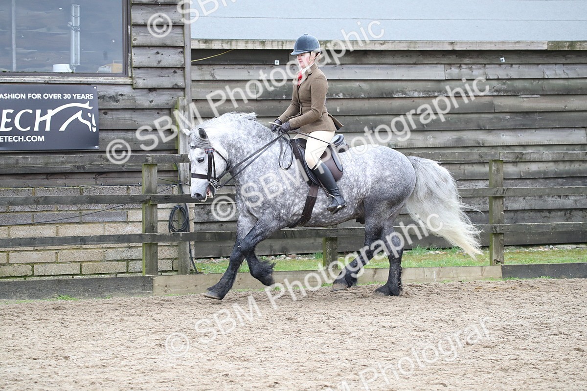 SBM_006389 - Class 10-13 - RIHS Small Large Breeds
