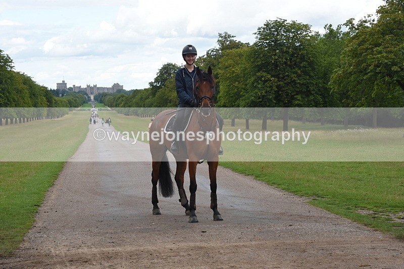 TT3_0419 - Time at Crossing 14:53 to 1526