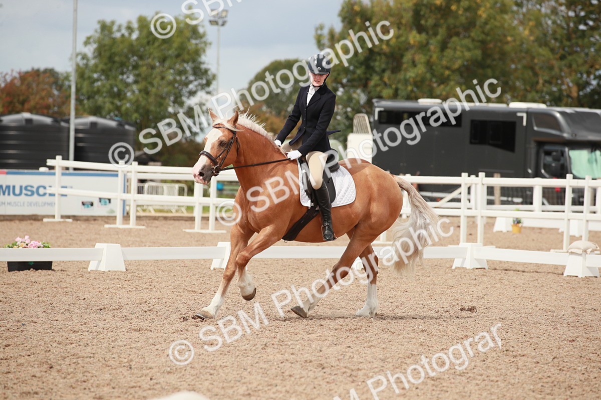 SBM_05901 - Class 32 - Novice 1