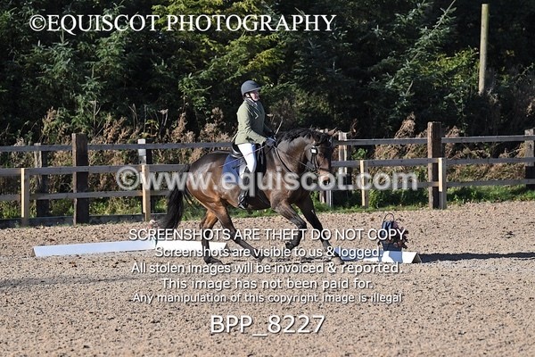 BPP_8227 - LONG ARENA