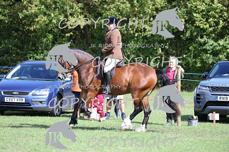 APP_3561 - Class 12 M&M ridden