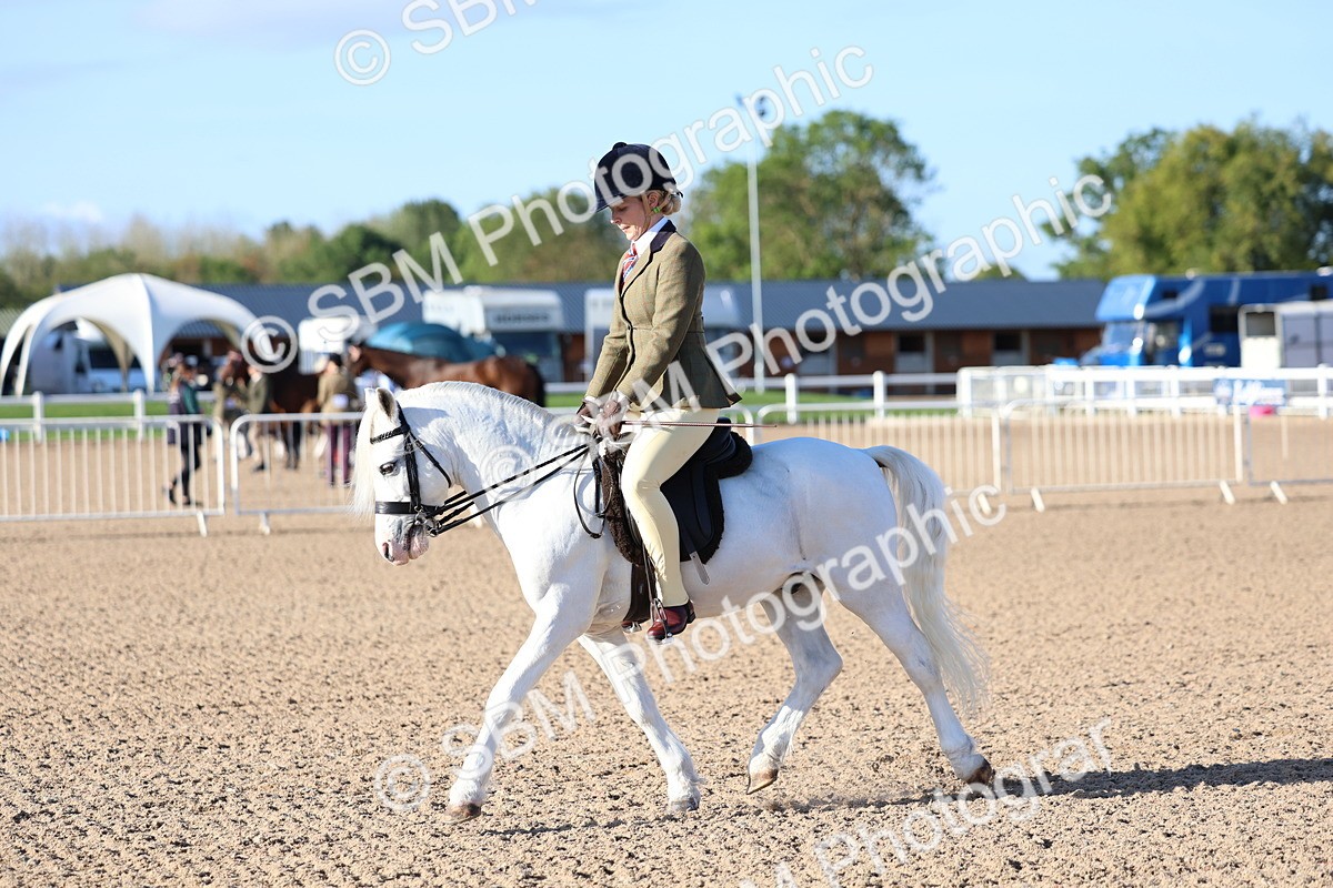 SBM_07851 - Class 301 - Ridden M&M - Small Breeds