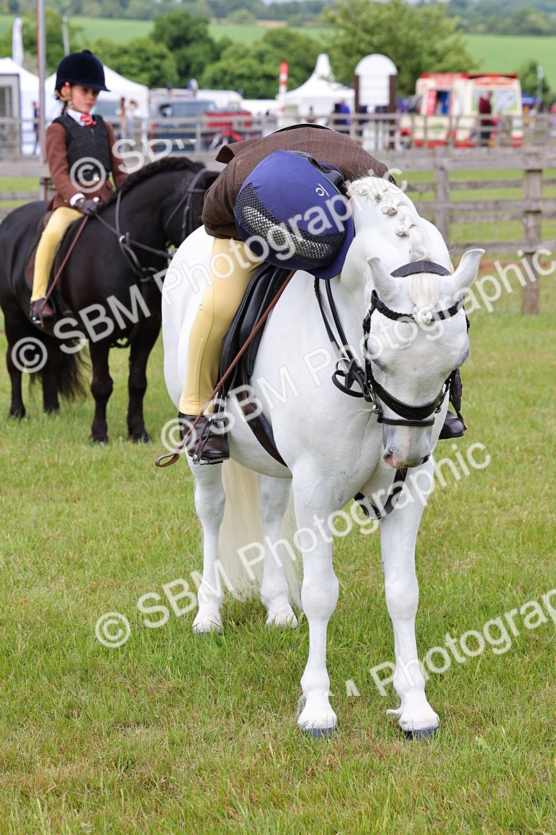 SBM_09635 - Class 44-45 - LIHS BSPS Open Nursery and Cradle Stakes