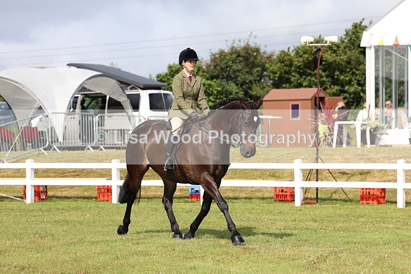 3E7A8885 - Class 3: Rising Star S/L Hunter