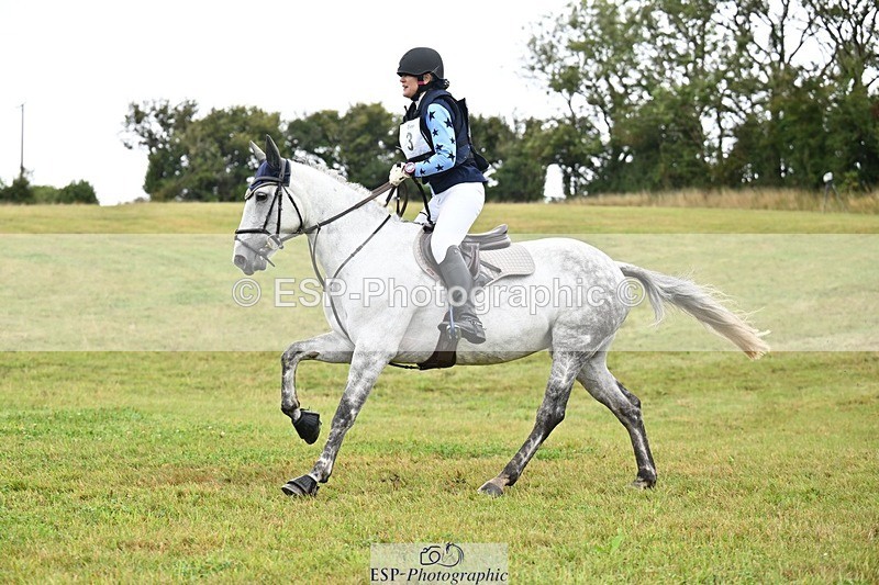 TS_b1821184 - SAT BE 90 Recovered Files fence 8