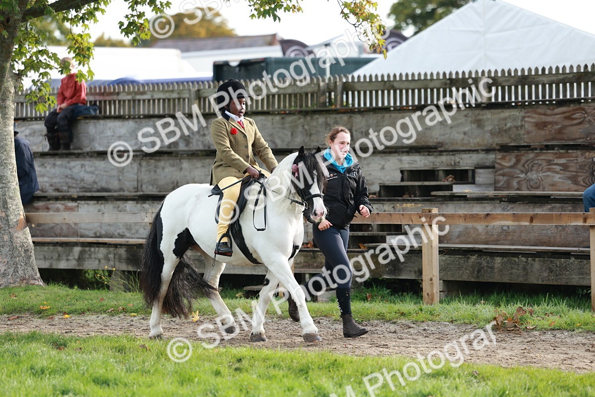 SBM_56315 - S39 - Starters In Hand Showing