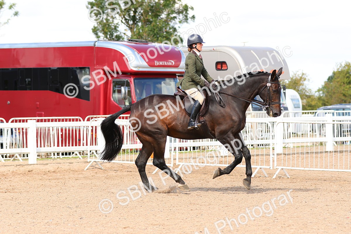 SBM_13488 - Class 212 - Ridden Hunter  - Large