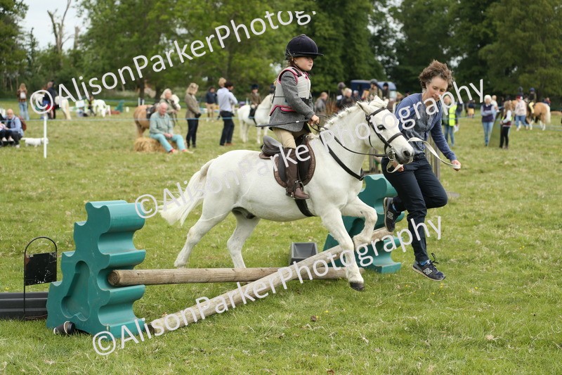 20250517-0569 - Class 20 - Beginners Working Hunter