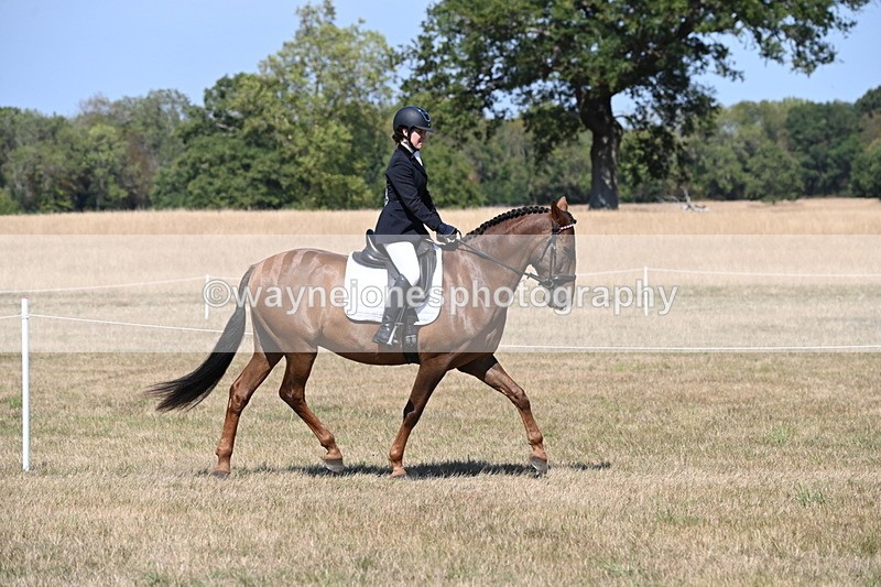 WJ6_8773 - Class 38 Ridden Riding Horse/Pony