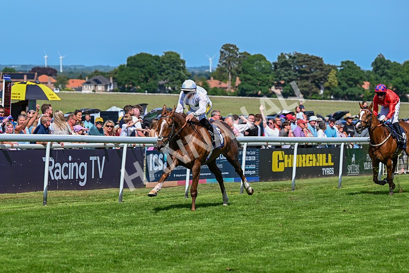 300526-Race 4-Whos Lope-5836 - Race 4 15.25pm Birch Flooring Novice Stakes