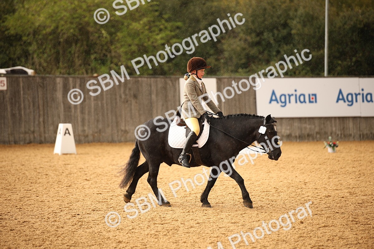 SBM_12372 - D3 Small  Tour Championship Intro A