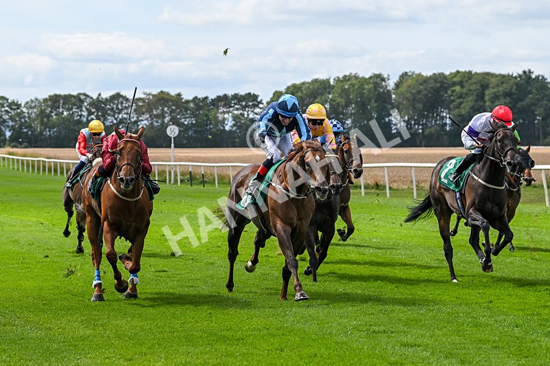 080825-Race 1-Golden Prosperity-1745 - Race 1