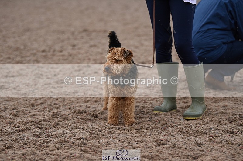 240518A-125946-01222 - Cls 6 Best Veteran