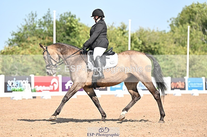 250816-105514-03245 - 093-Jocelyn.GilmoreSpring.lily