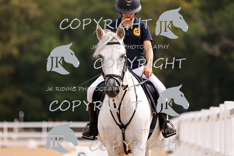 _R6A2416 - Dressage Morning