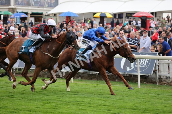 yr22072022r2-29 - Race 2 5.50pm eventmasters.co.uk Stakes