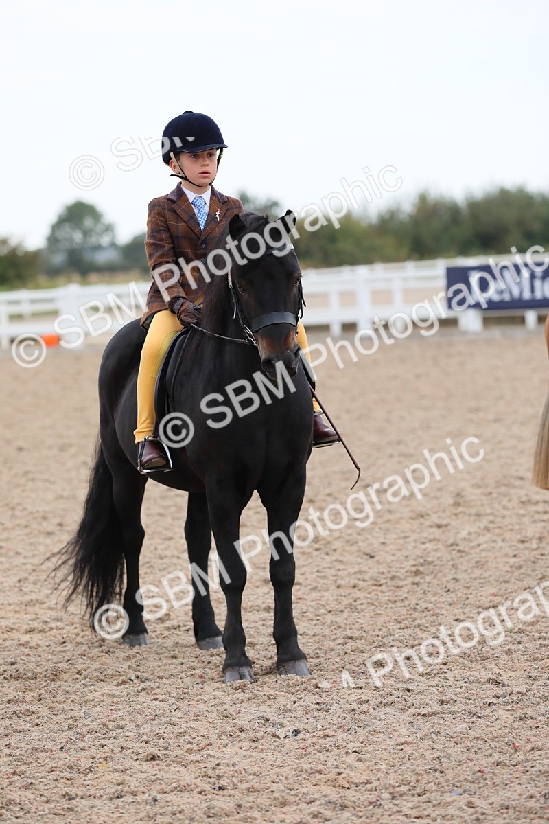 SBM_18190 - Class 316 Best Pony/Rider Combination