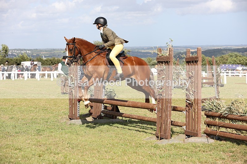 JPP_2753 - Class 20: Working Hunter 70cm