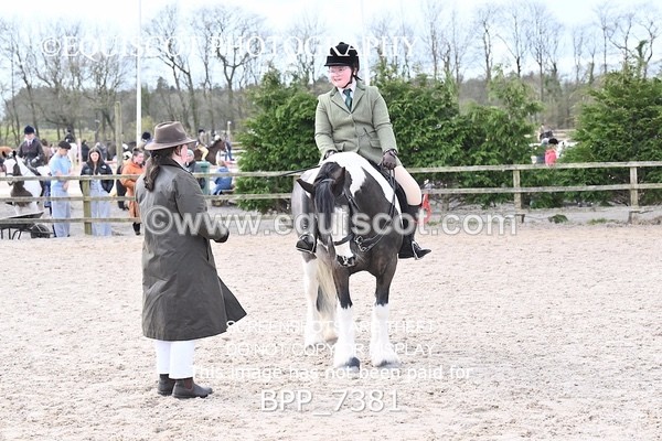BPP_7381 - RING 1  (RIDDEN HORSES / IN HAND / VETERAN ETC)