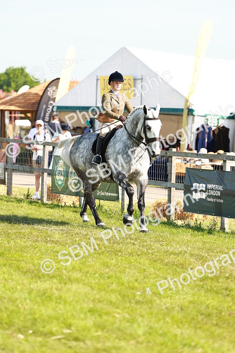 SBM_11856 - Class 66-69 - RIHS Ridden Hunters Inc Small Hunter