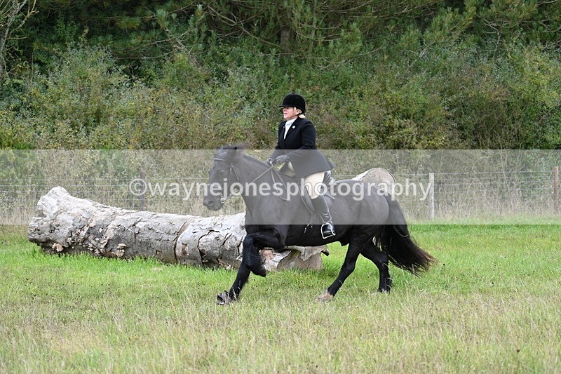 WJ7_3805 - Camera 1 Line 1