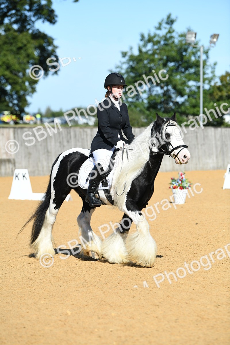 SBM_18056 - D4 - Small Tour Championship - Intro B