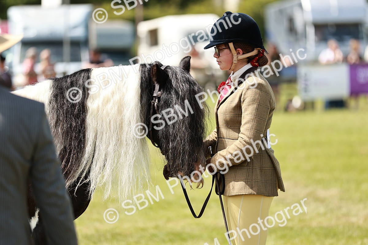 SBM_04209