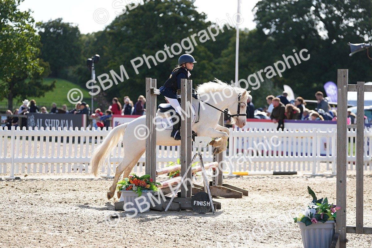 SBM_46548 - J7 - Junior Pony 60cm Championship