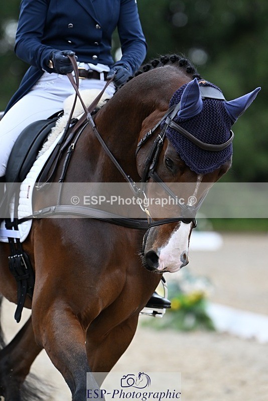 231019-122814-02774 - 045-HILDARE.REGARDE.MOI-Danielle.Mccormack-DR