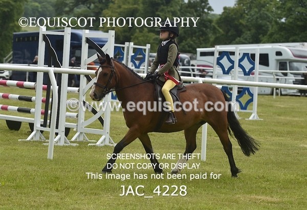 JAC_4228 - WORKING HUNTER CHAMPIONSHIP