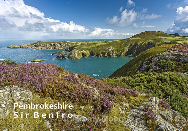 F05 - Fridge magnets