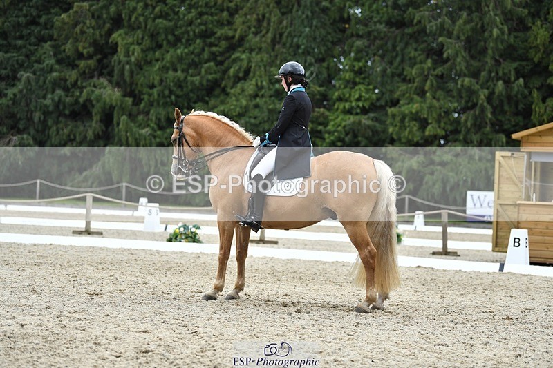 230812-142808-04703 - Cls 7 FEI PSG Bronze