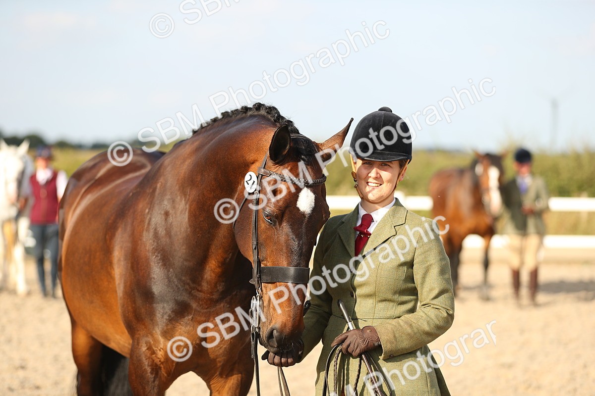 SBM_08670 - Class 28 - IH Veteran Horse