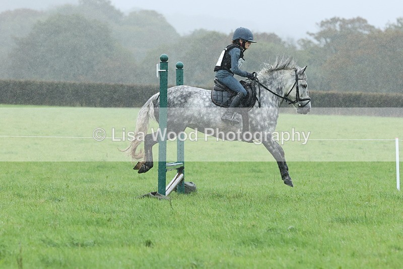 JPP_5139 - Class 1: 65cm : Showjumping