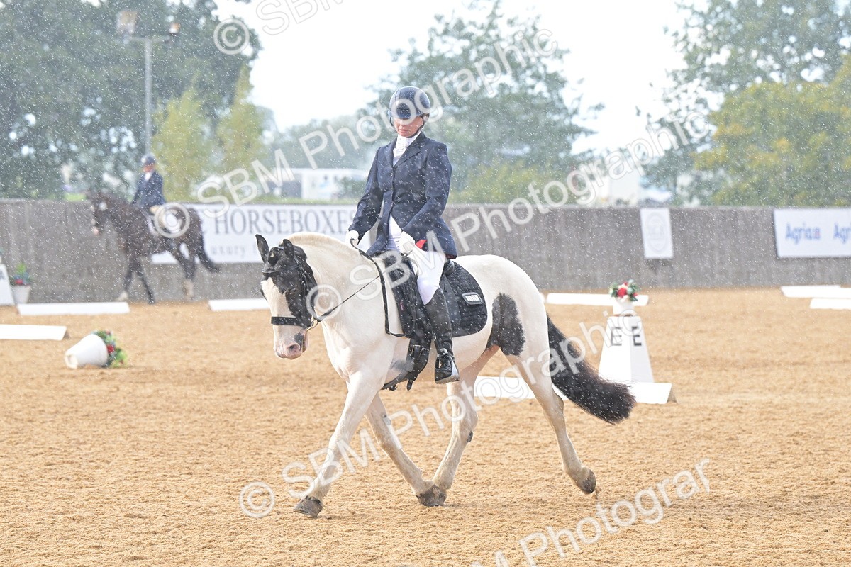 SBM_11185 - D3 - Small Tour Championship Intro 3