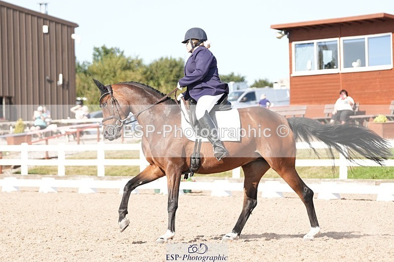 250817-165411-11976 - 211-Carey.CollettRubin's.Fanfare