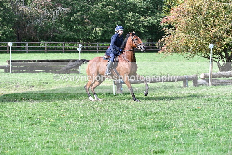 WJ5_8050 - Time 10:31 to 12:01