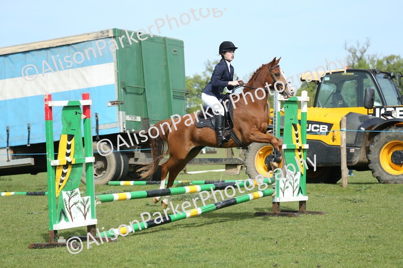 20260426-1500 - Class 14 - Novice 60cm